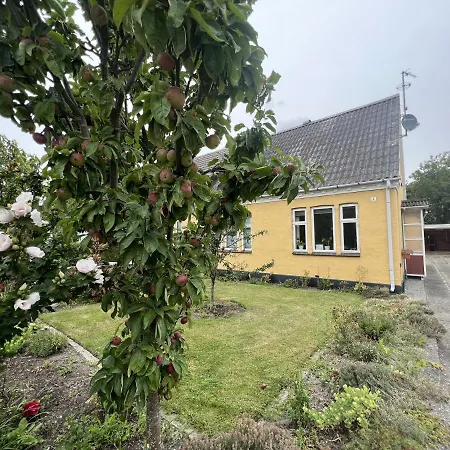 The Yellow House, 5mins Drive, 3br With Free Parking, Fast Fiber Internet